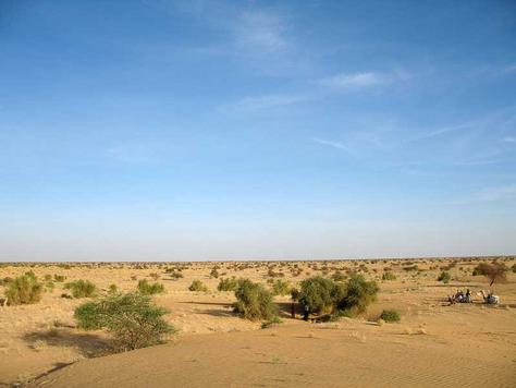 Deserturile din zona temperata Deserturile din zona temperata