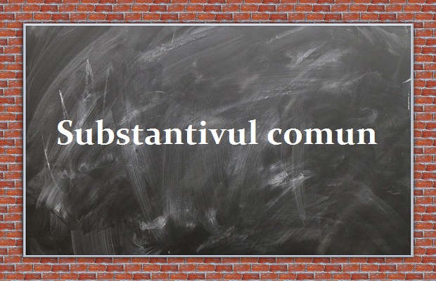 Substantivul comun? Exemple Substantivul comun