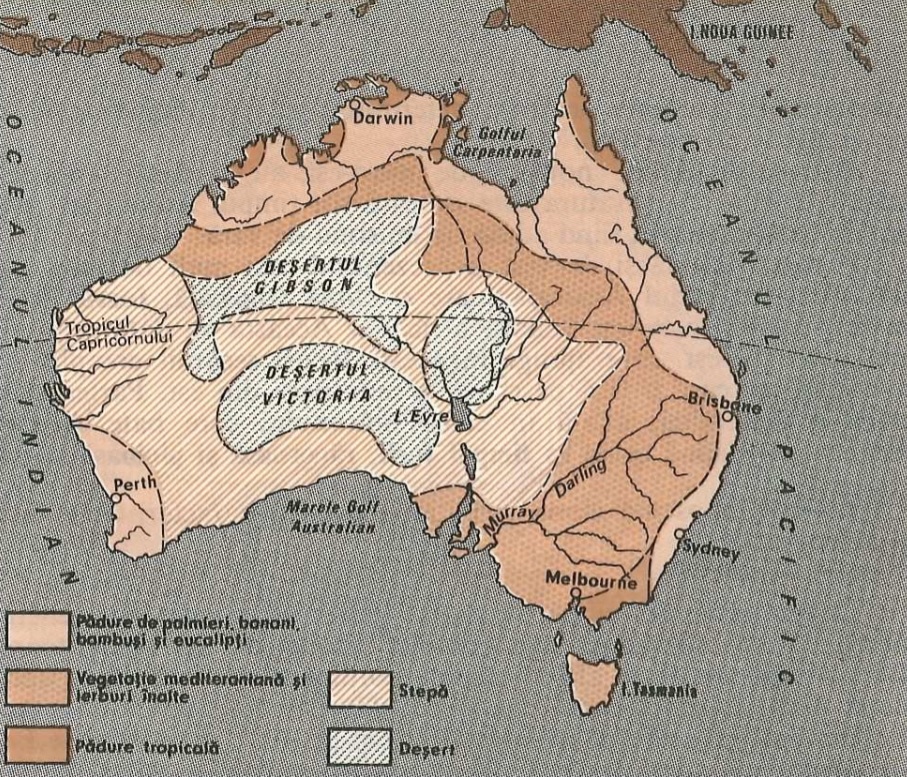 Australia Australia. Vegetația naturală