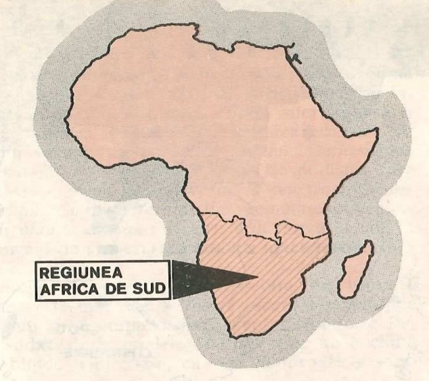 Regiunea Africa de Sud
