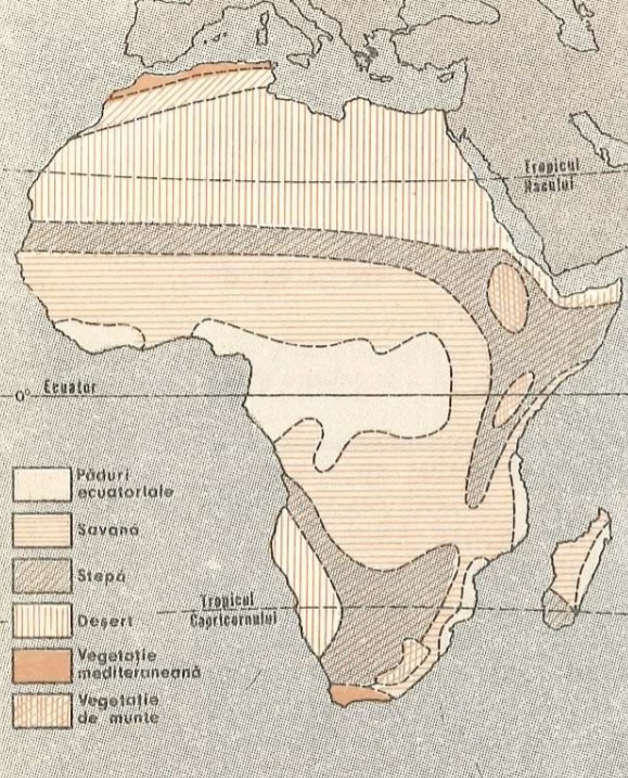 Vegetația din Africa
