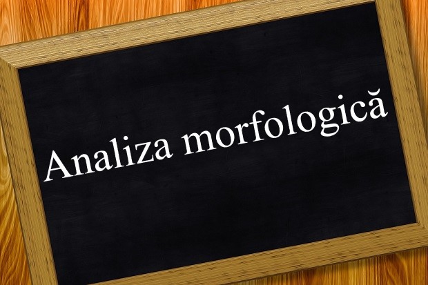 Analiza morfologică. Exemple Analiza morfologică