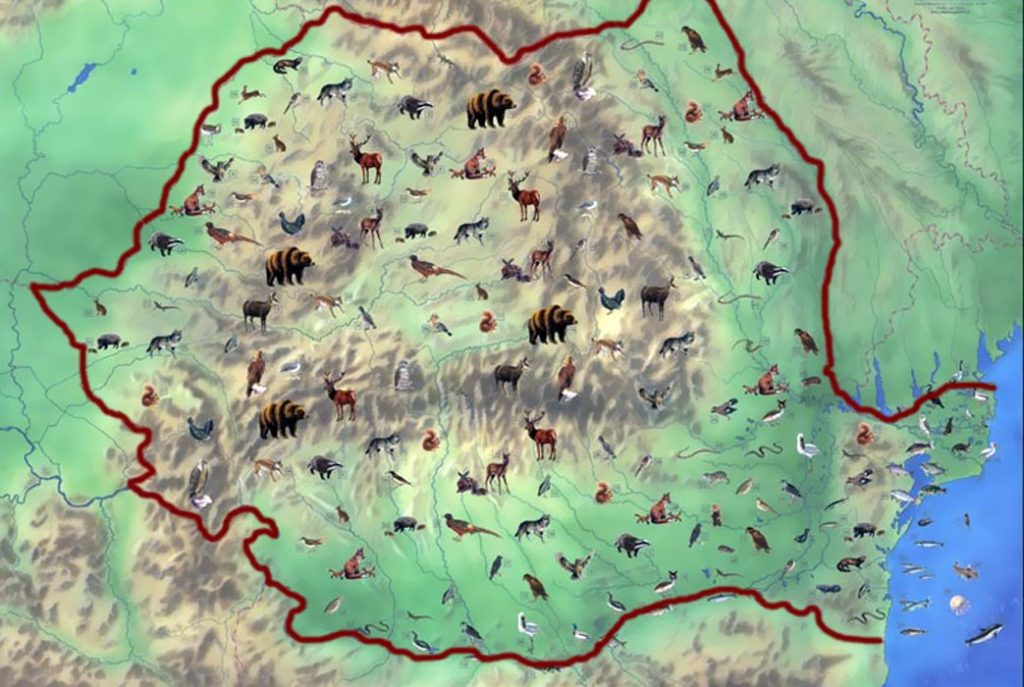 Fauna României Fauna României
