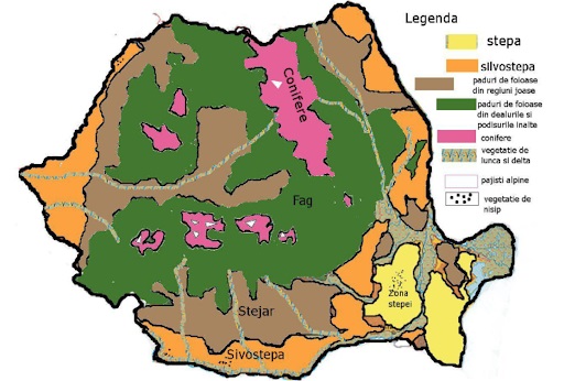 Vegetația României Vegetația României