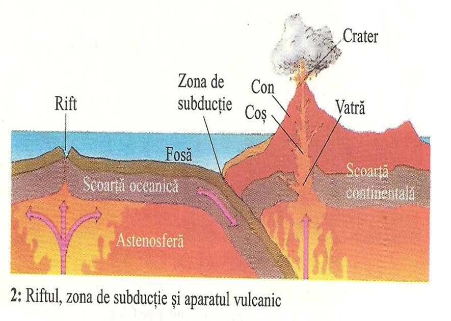 Plăcile tectonice. Deplasarea plăcilor tectonice Dinamica scoarței terestre