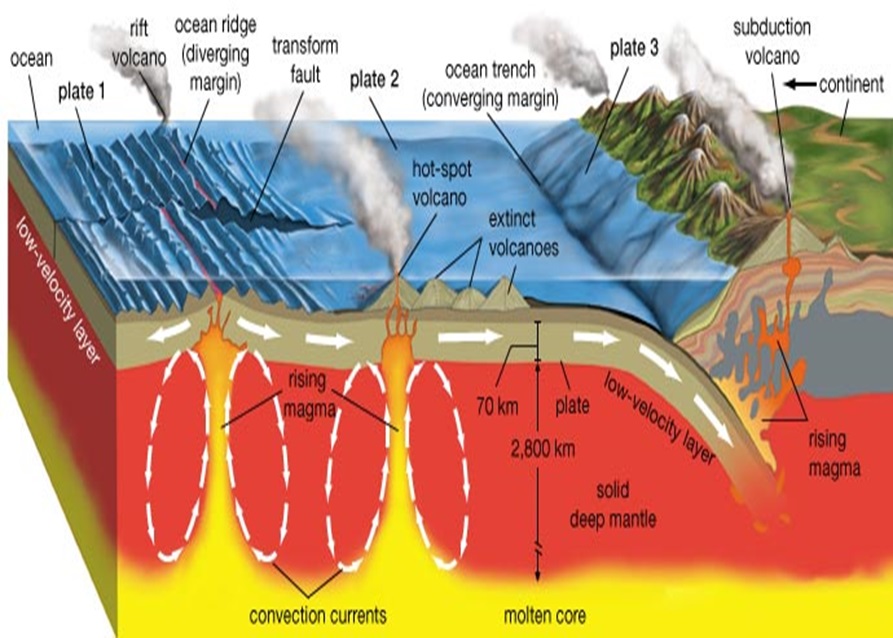 Plăcile tectonice. Deplasarea plăcilor tectonice Dinamica scoarței terestre
