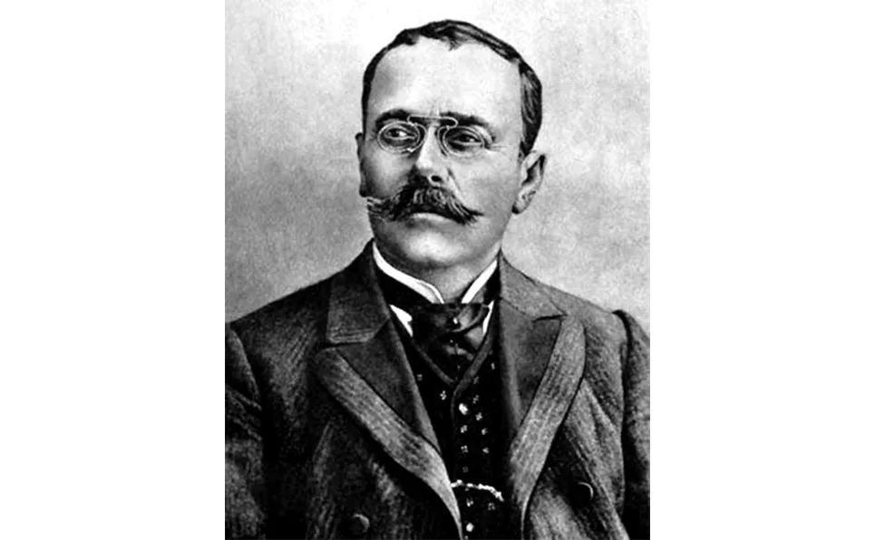 D-l Goe - argumentare schiță