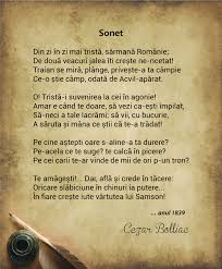 Cate randuri sau versuri are un sonet?